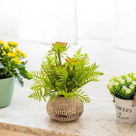 La Querencia Pensión 4*