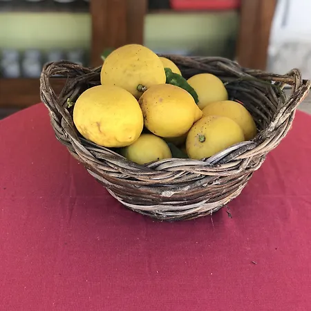 Pensionat La Querencia